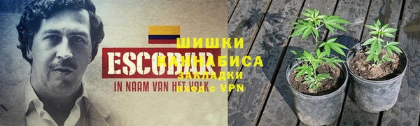 тгк Рославль