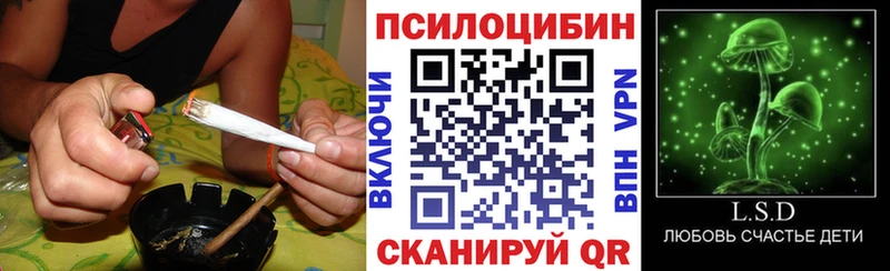 Псилоцибиновые грибы ЛСД  Спас-Деменск 